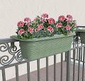 Truhlk Rondine Salvia 60 cm